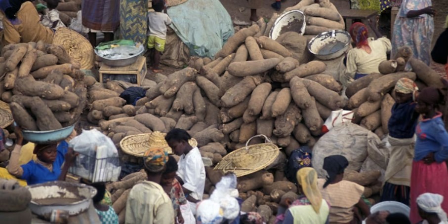 Yam and Cassava Traders