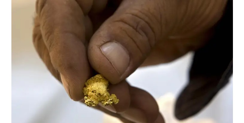 Gold rush in Amazon Forest