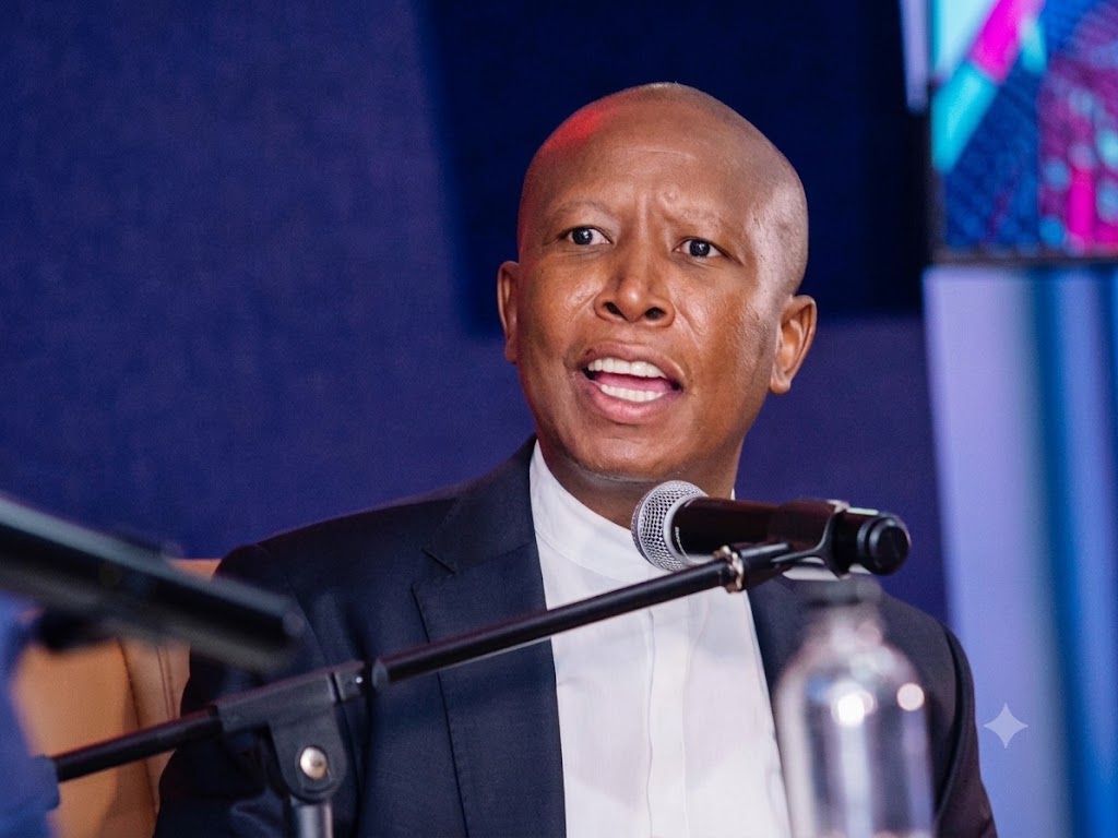 Julius-Malema-Seeks-Six-Month-Jail-Term.jpg