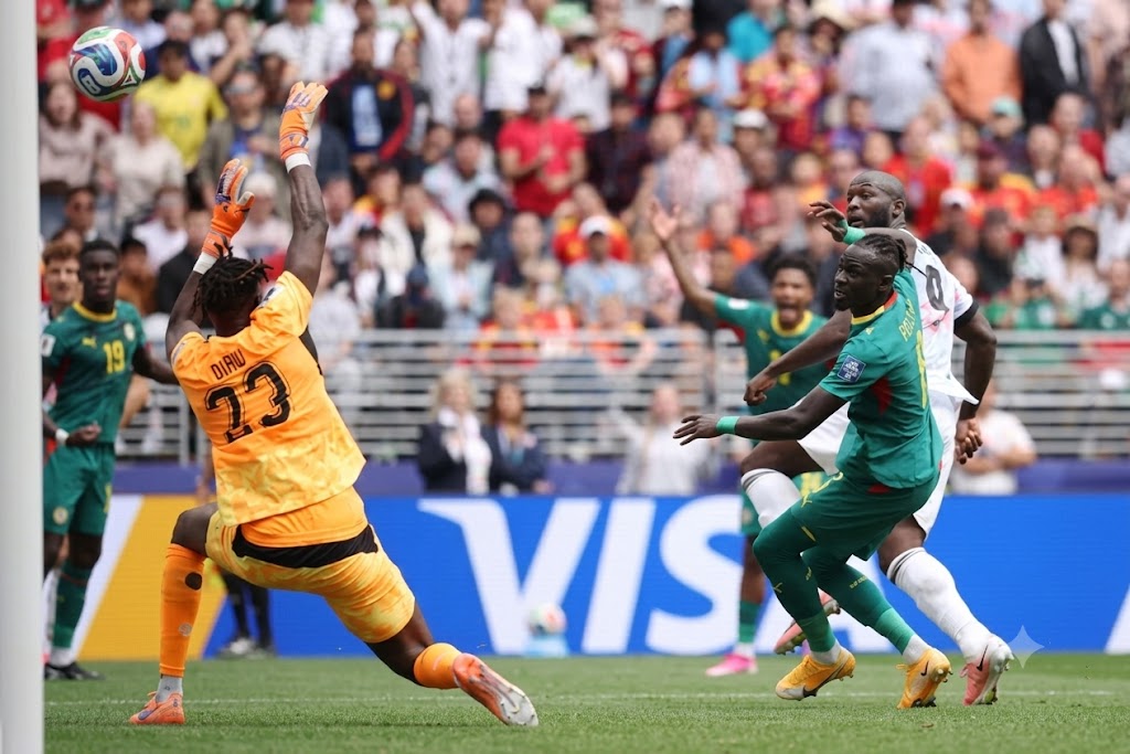 belgium senegal