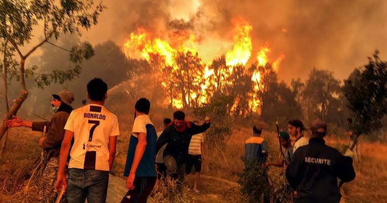At-least-12-people-have-died-and-54-others-were-injured.jpg