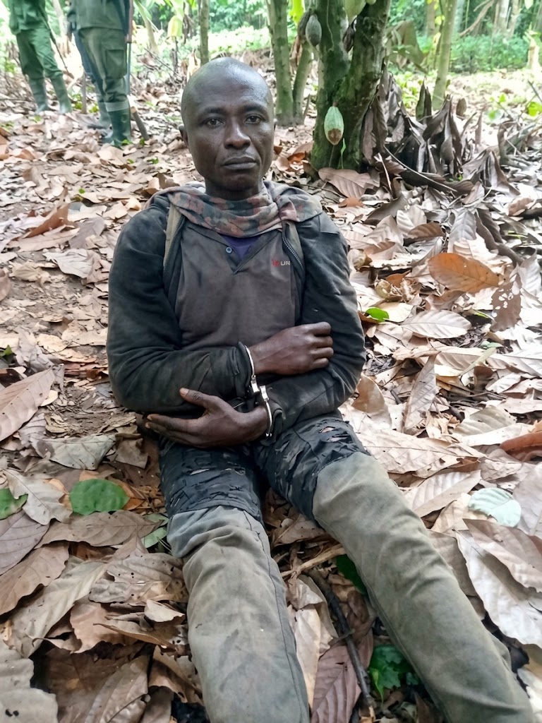 Division-of-the-Forestry-Commission-has-been-shot-and-killed.jpg