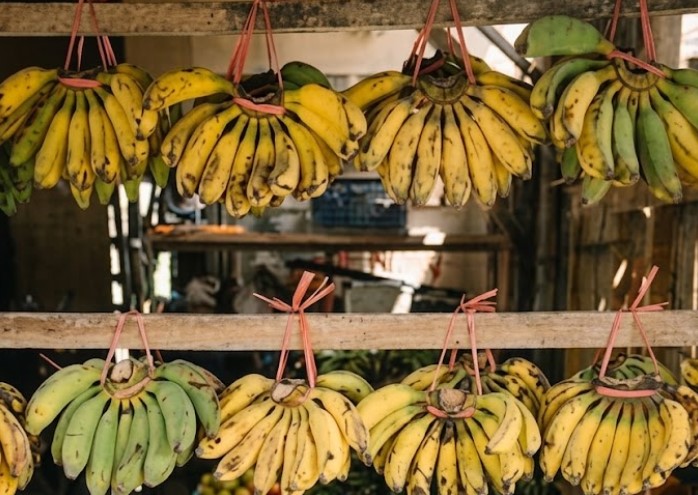 FDA Warns Traders Against Using Unapproved Chemicals