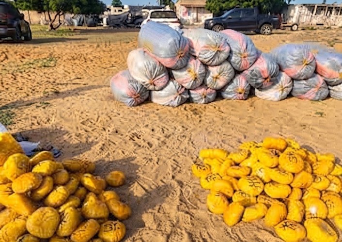 Marine Police Intercept 2,213 Suspected Indian Hemp
