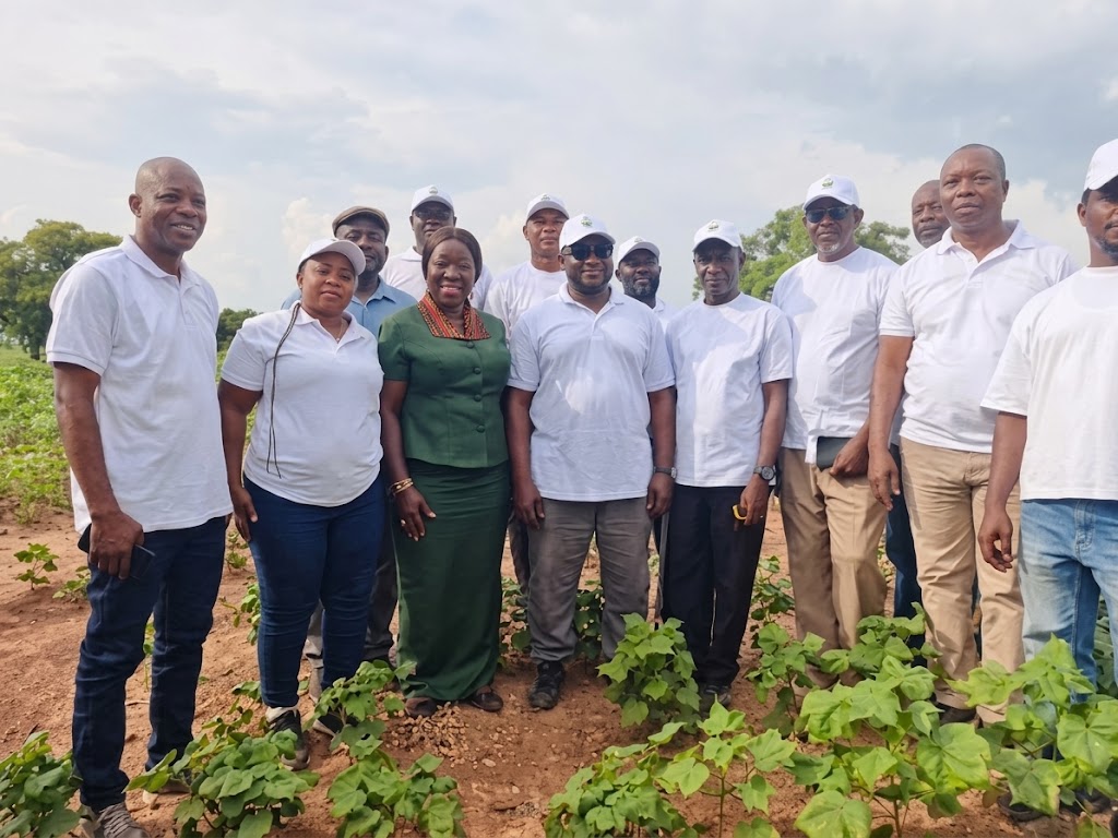 The Government of Ghana Cotton Production