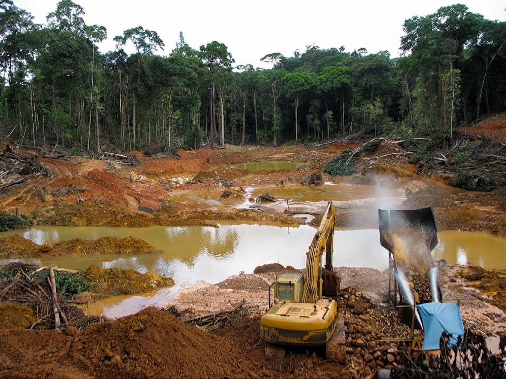 Civil Society Coalition Calls for Environmental Rights