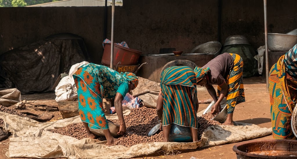 Shea industry
